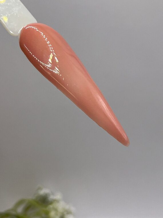 Polvo acrílico para decoración de uñas L243